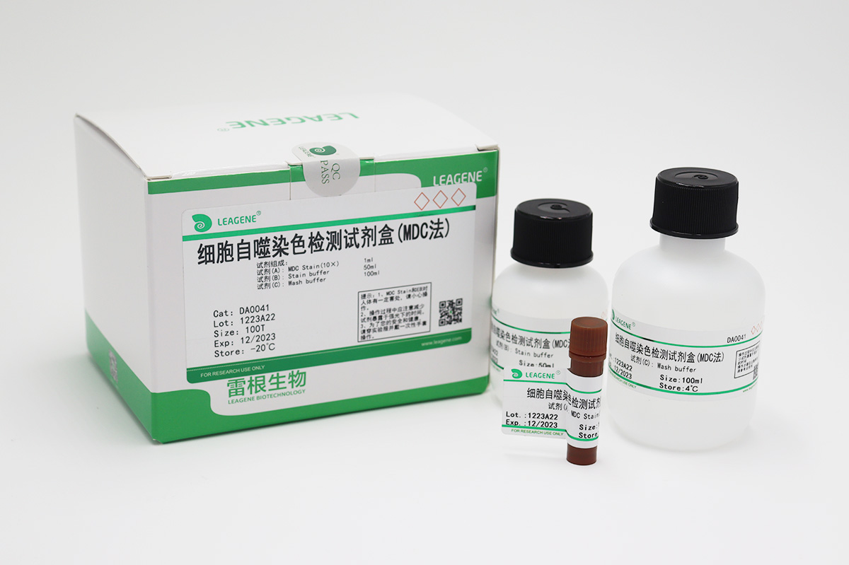 細(xì)胞自噬染色檢測(cè)試劑盒(MDC法)