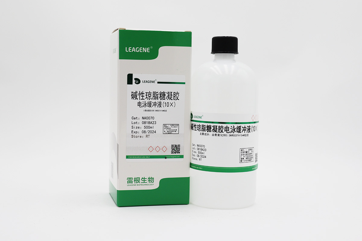 堿性瓊脂糖凝膠電泳緩沖液(10×)