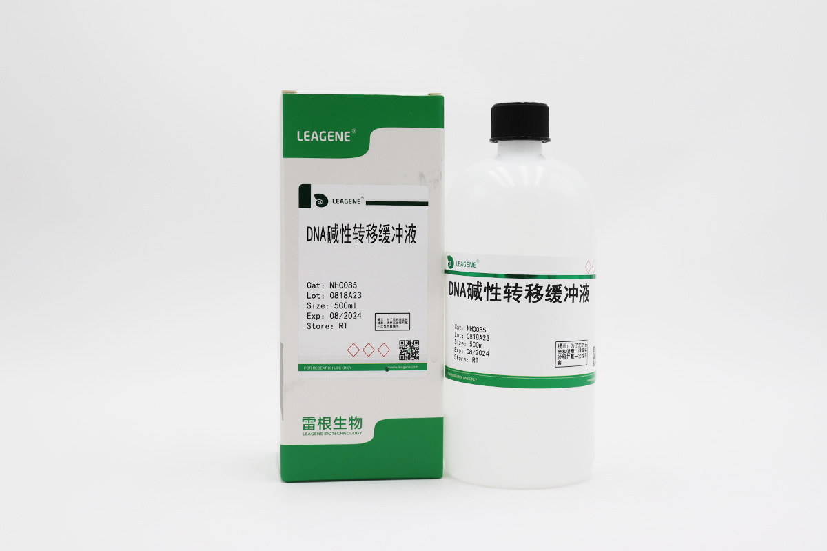 DNA堿性轉(zhuǎn)移緩沖液
