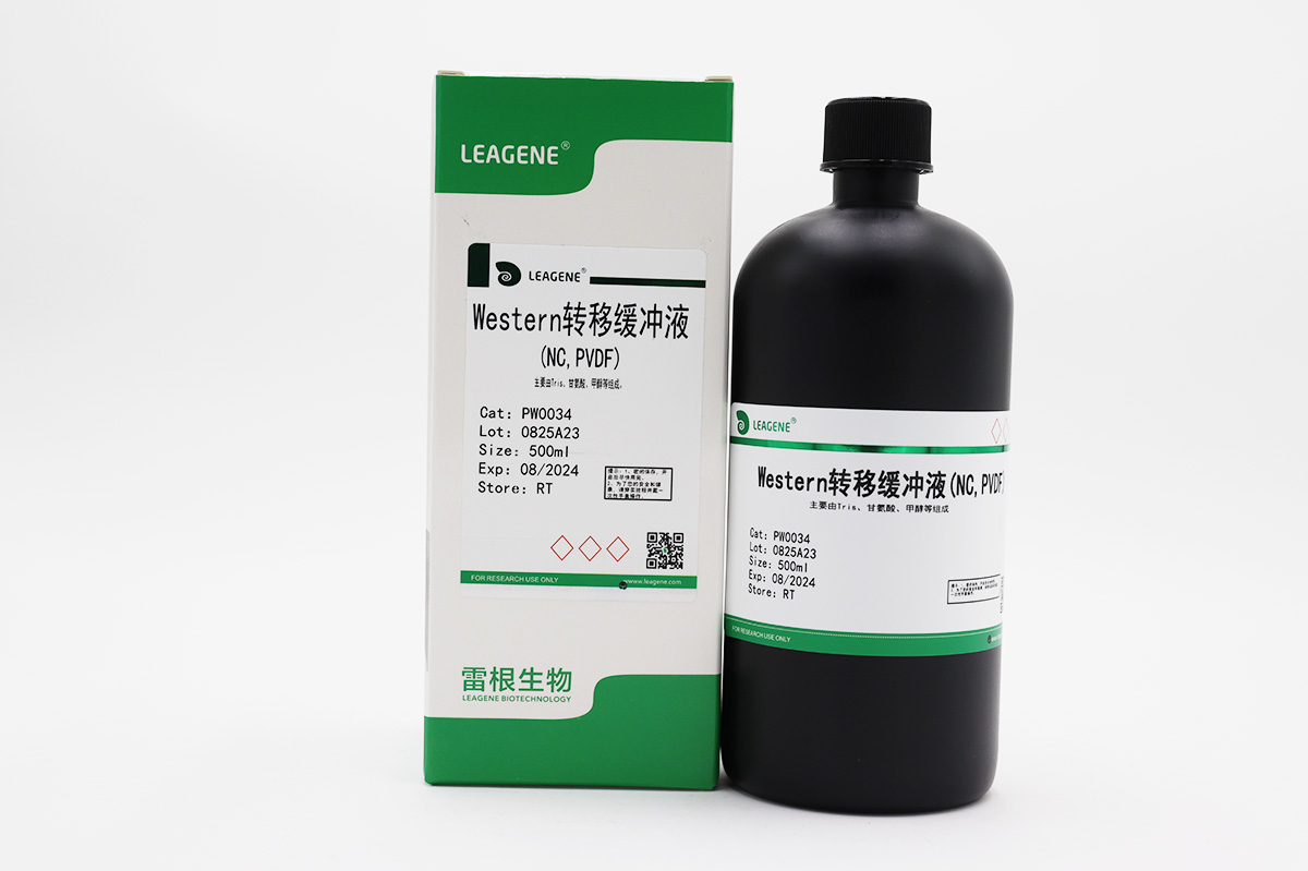 Western轉(zhuǎn)移緩沖液(NC,PVDF)