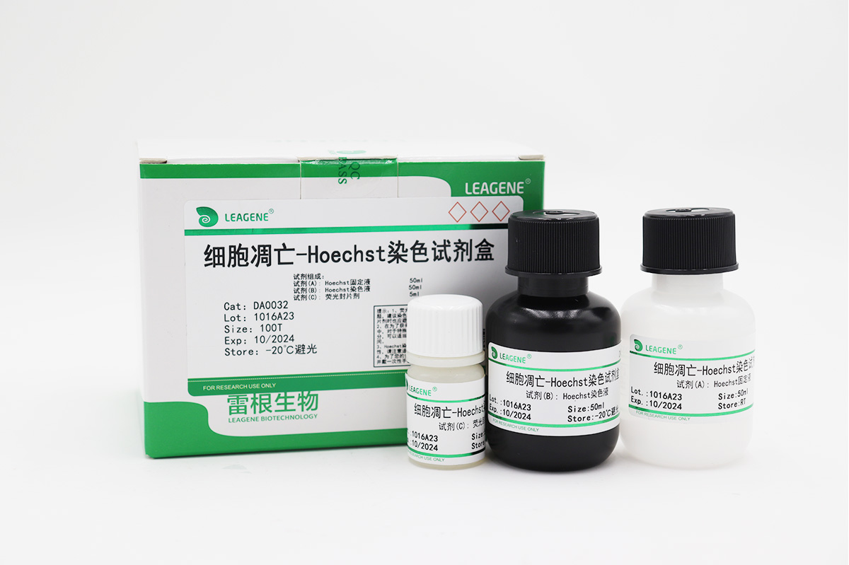 細(xì)胞凋亡-Hoechst染色試劑盒