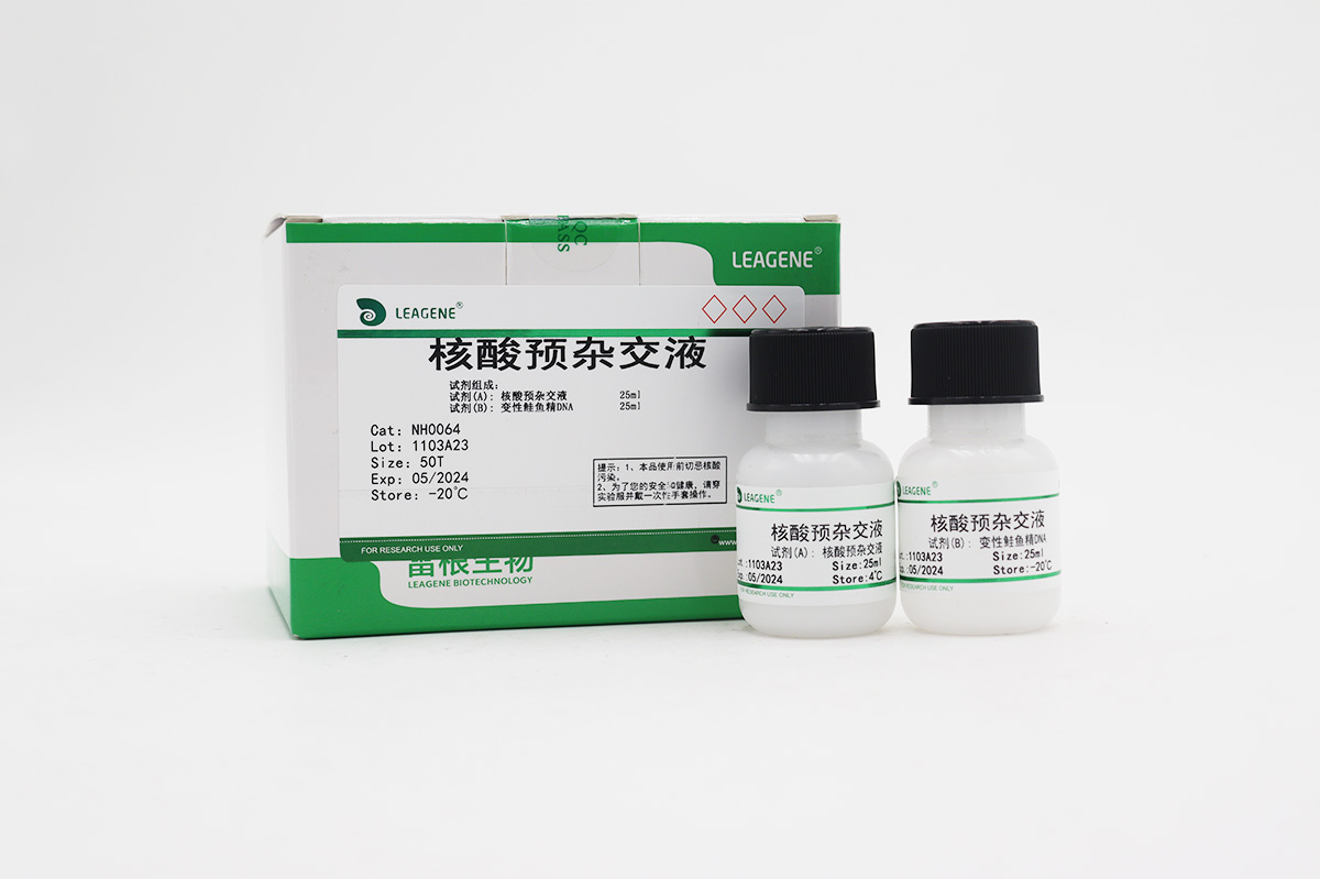 核酸預(yù)雜交液