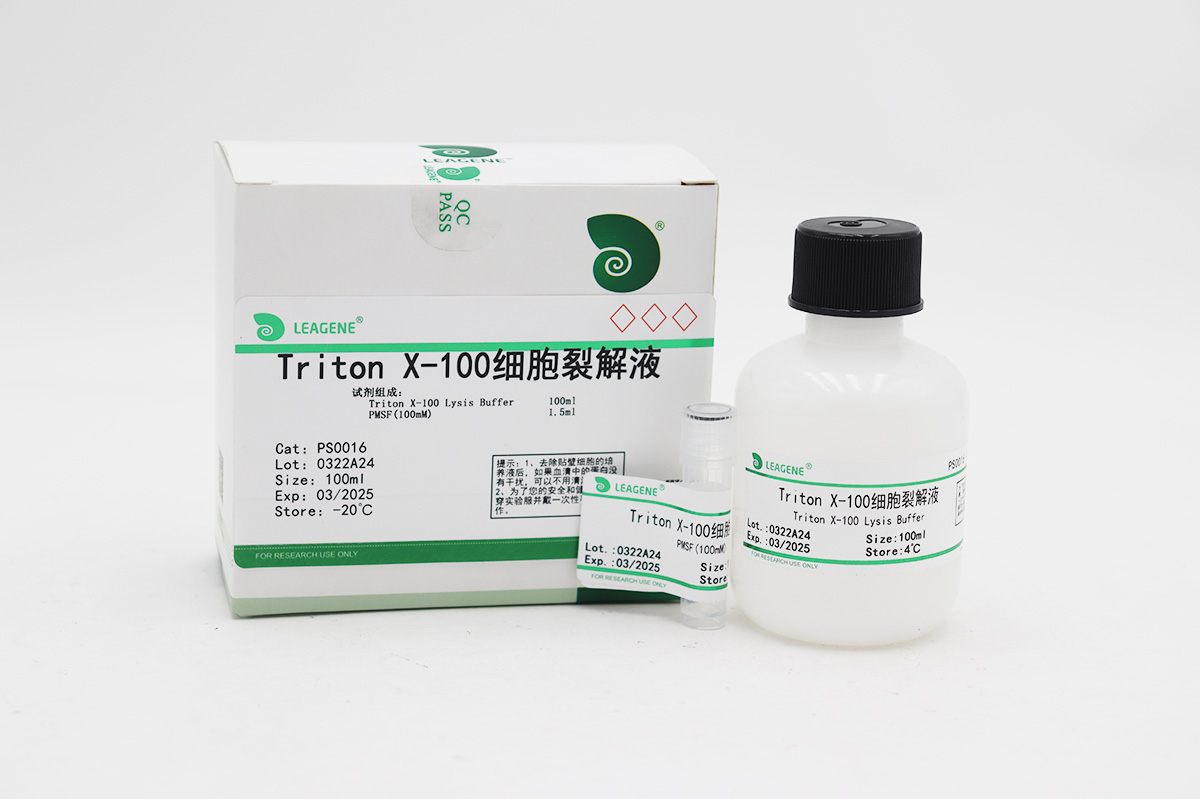 Triton X-100細(xì)胞裂解液