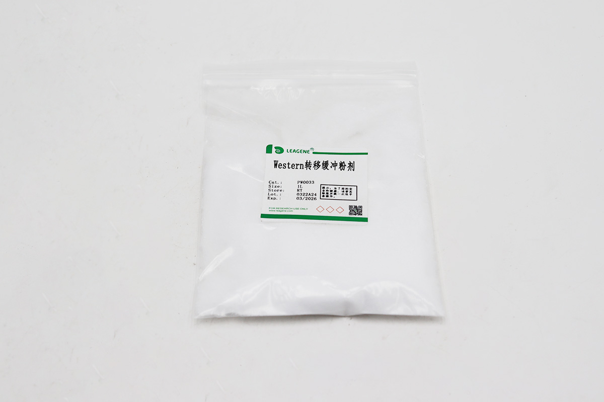 Western轉(zhuǎn)移緩沖粉劑