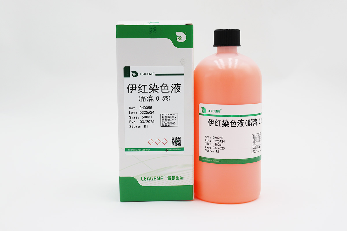 伊紅染色液(醇溶,0.5%)
