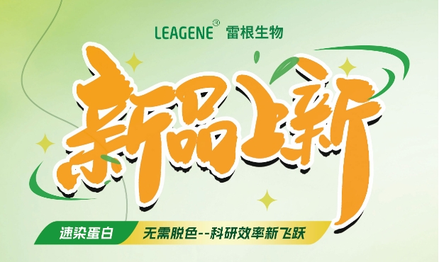 最新力作【考馬斯亮藍快速染色液（免脫色版）】，正式加入我們的產(chǎn)品家族！